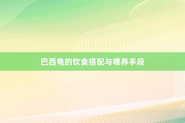 巴西龟的饮食搭配与喂养手段