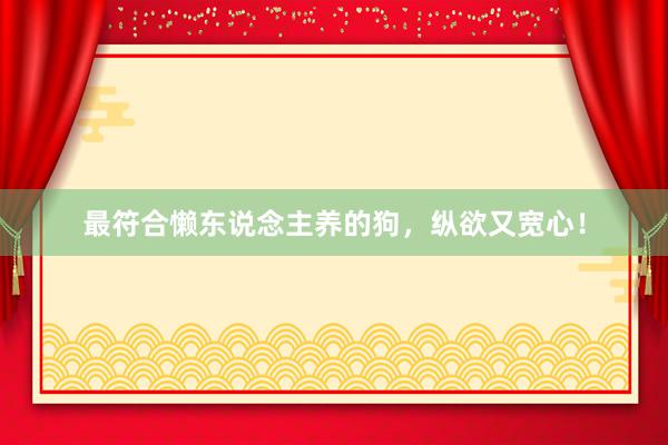 最符合懒东说念主养的狗,纵欲又宽心!